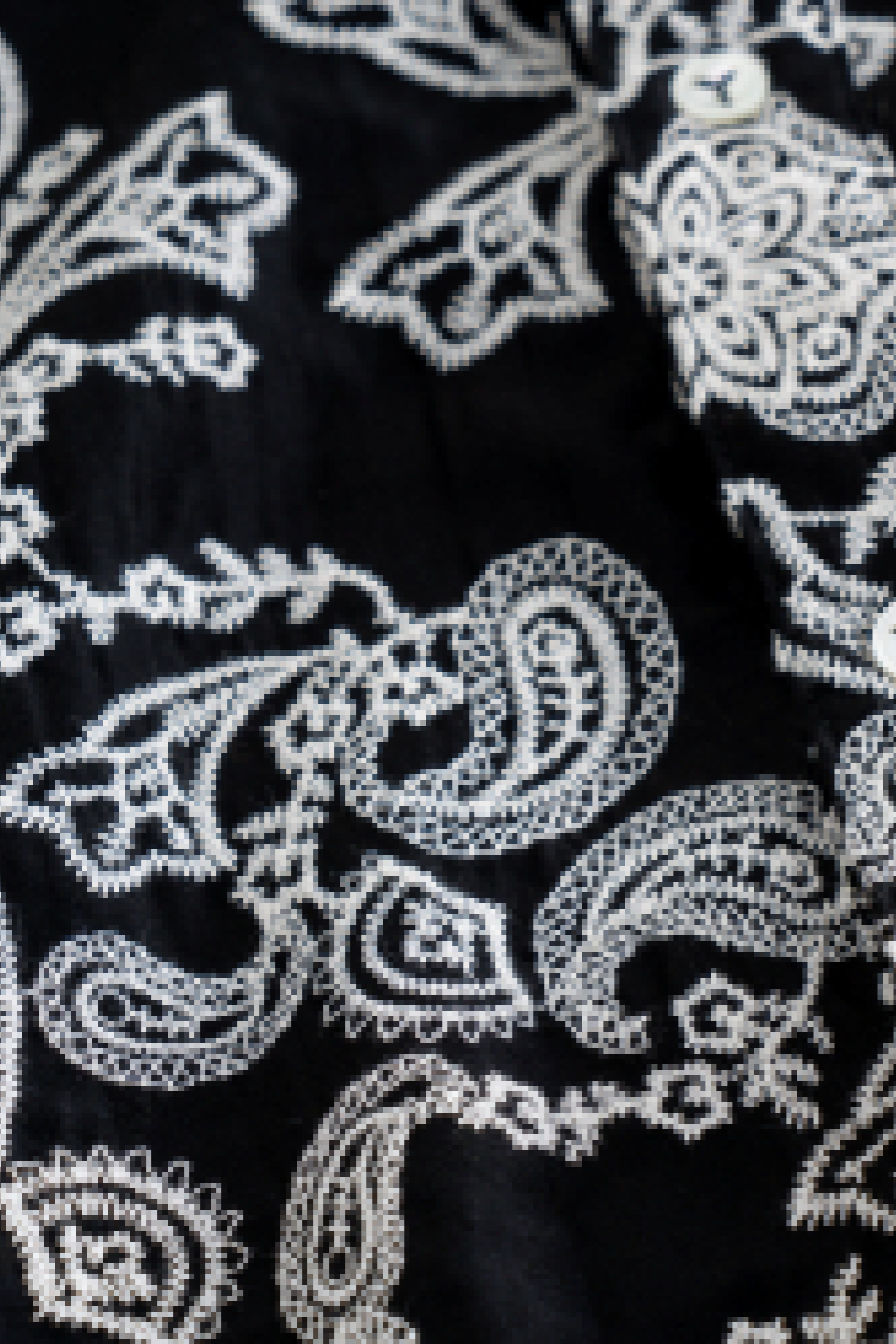 Paisley Embroidery Shirt