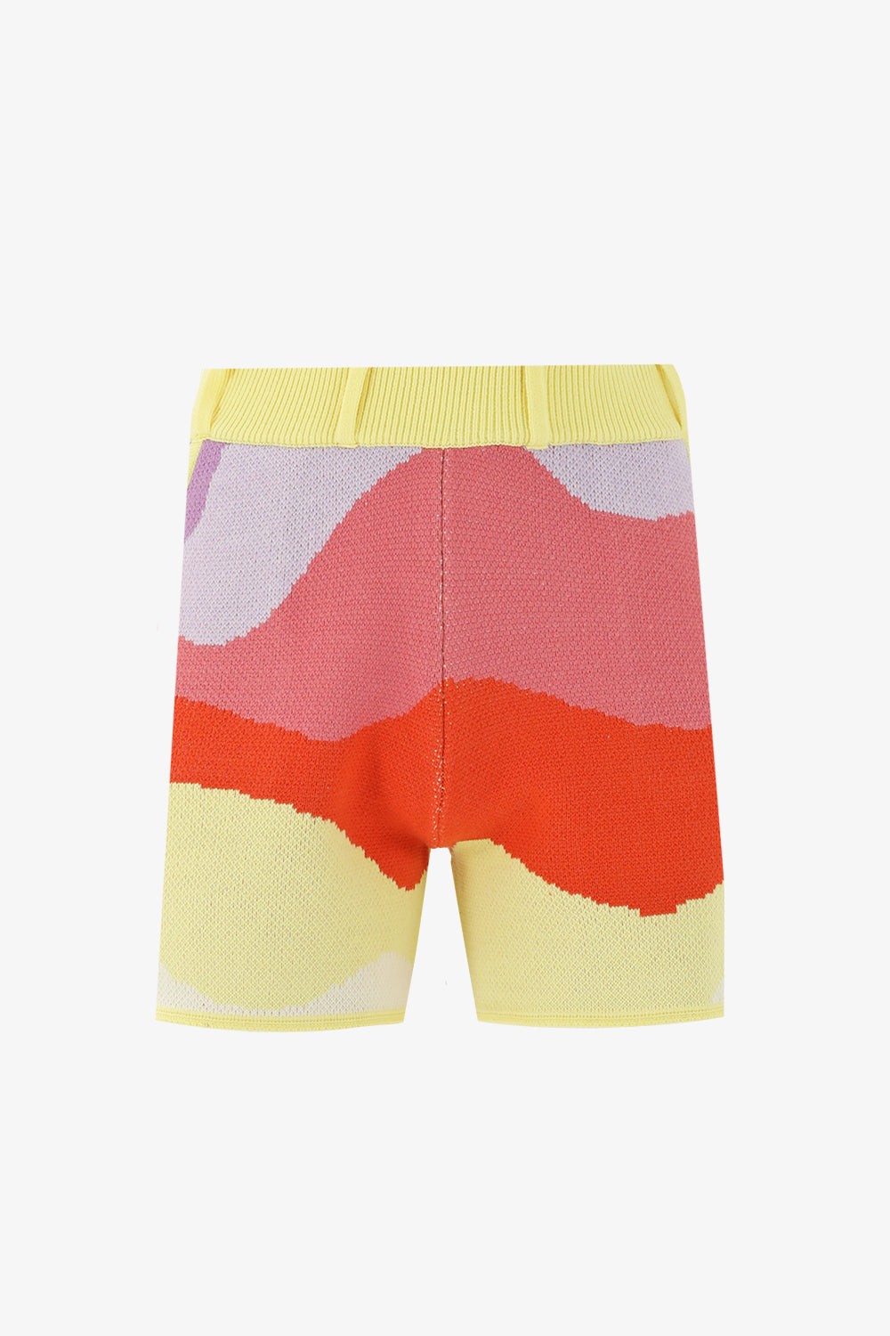 Summer Waves Shorts