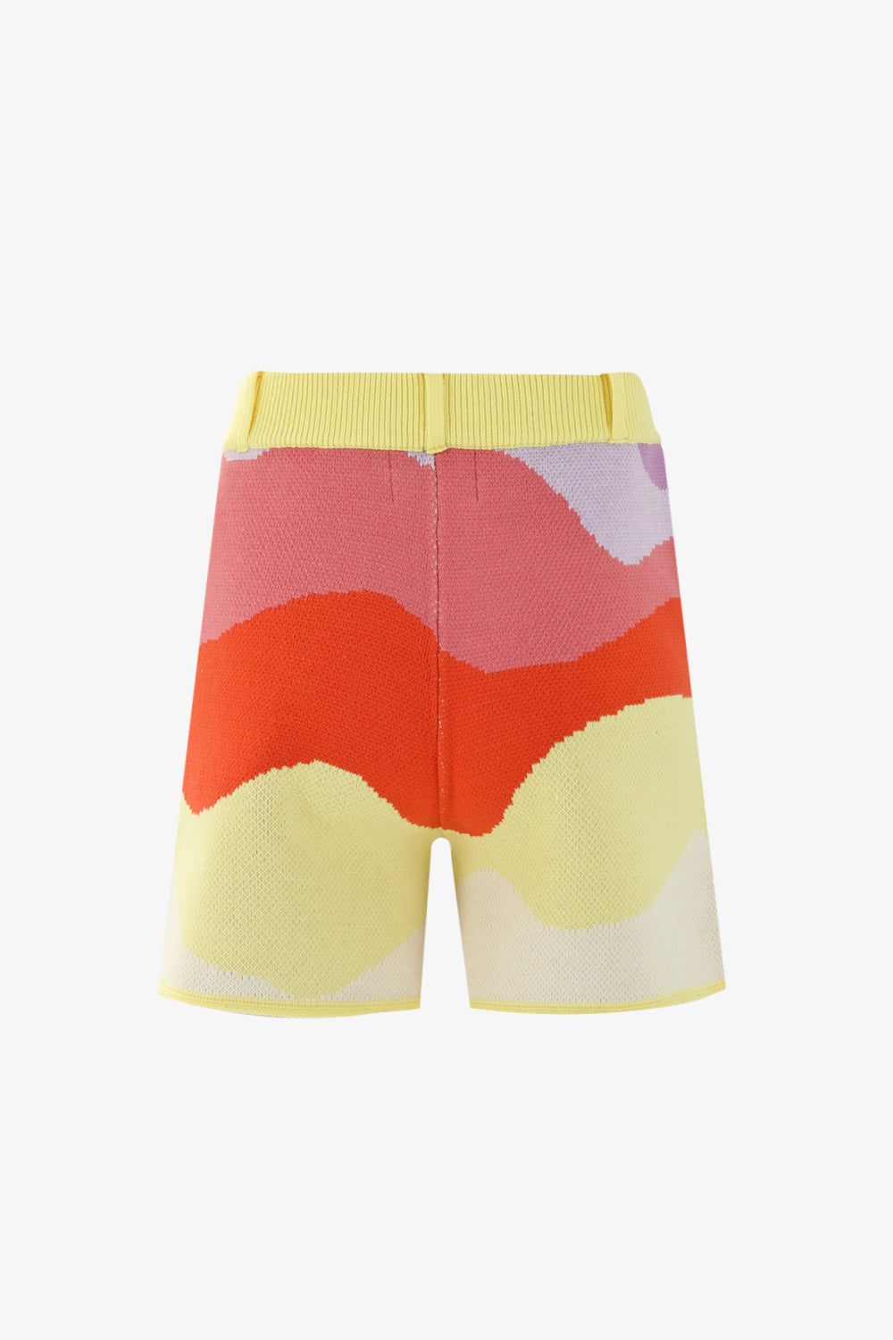 Summer Waves Shorts