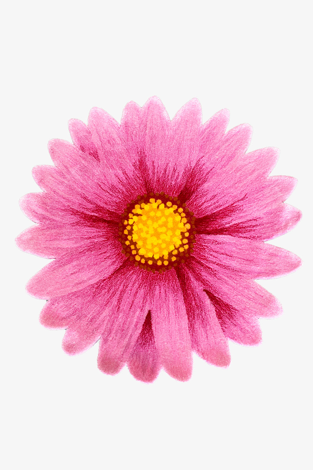 Pink Gerbera Daisy Rug